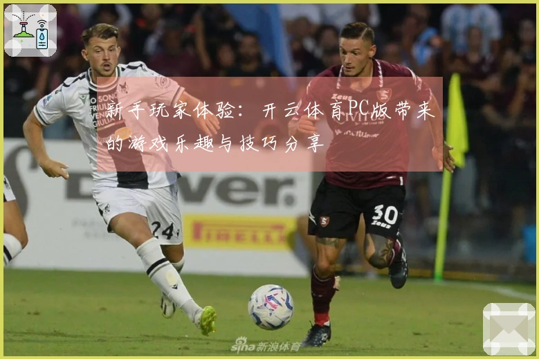 新手玩家体验：开云体育PC版带来的游戏乐趣与技巧分享